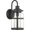 Progress Lighting Haslett Collection One-Light Medium Wall Lantern P560095-031 - alternate 1